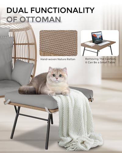 Grey Oversized Wicker Egg Chair with Ottoman H8173