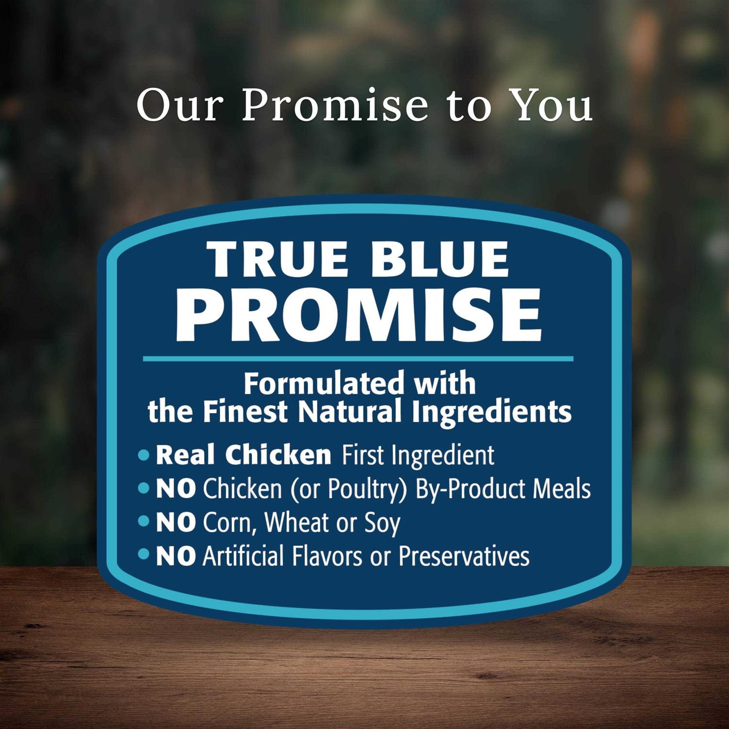 Blue Buffalo Wilderness Dog Food P720683