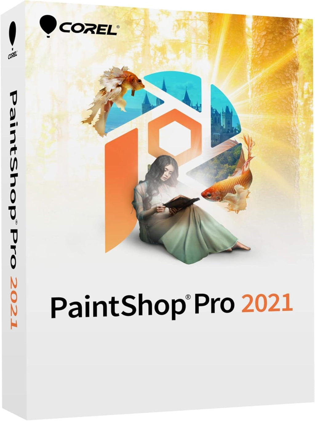 Photo Editing & Graphic Design Software Y470727