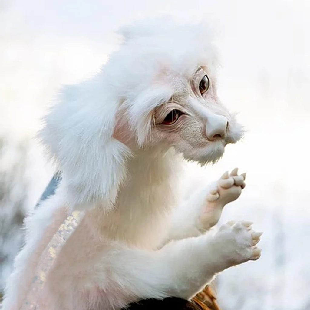 Falkor Plush Doll Toys W598257