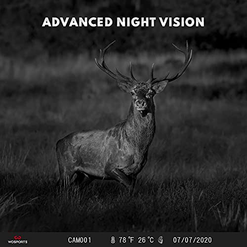 24MP 1080P HD Mini Trail Camera 2 Pack with Night Vision I704