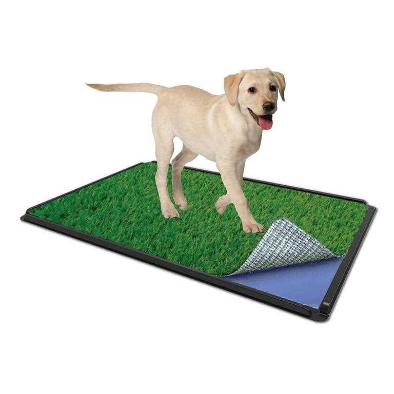 Indoor Dog Potty System 16 x 24 O3433