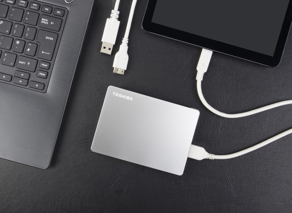 Portable External Hard Drive 4TB Silver W240461