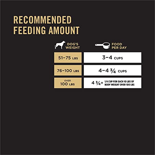 35 lb. Salmon Formula Large Breed Dog Food Y42432