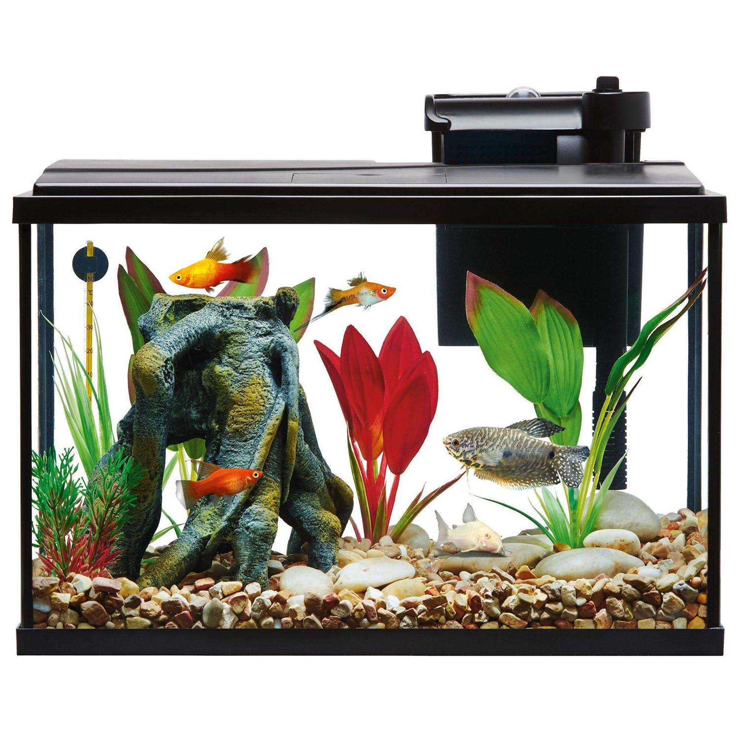 Aquarium Tank Starter Kit Y557