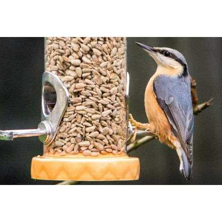 Sunflower Coarse Hearts Bird Seed A40424