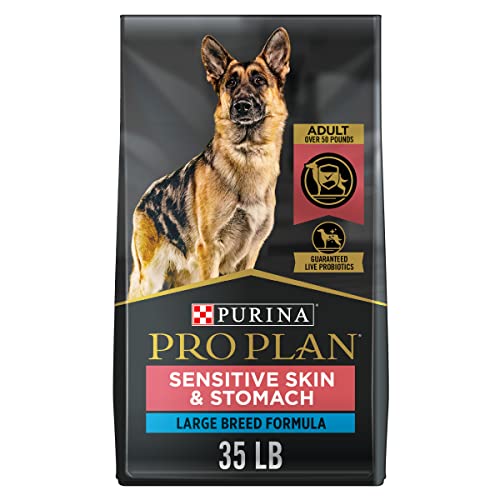 35 lb. Salmon Formula Large Breed Dog Food Y42432