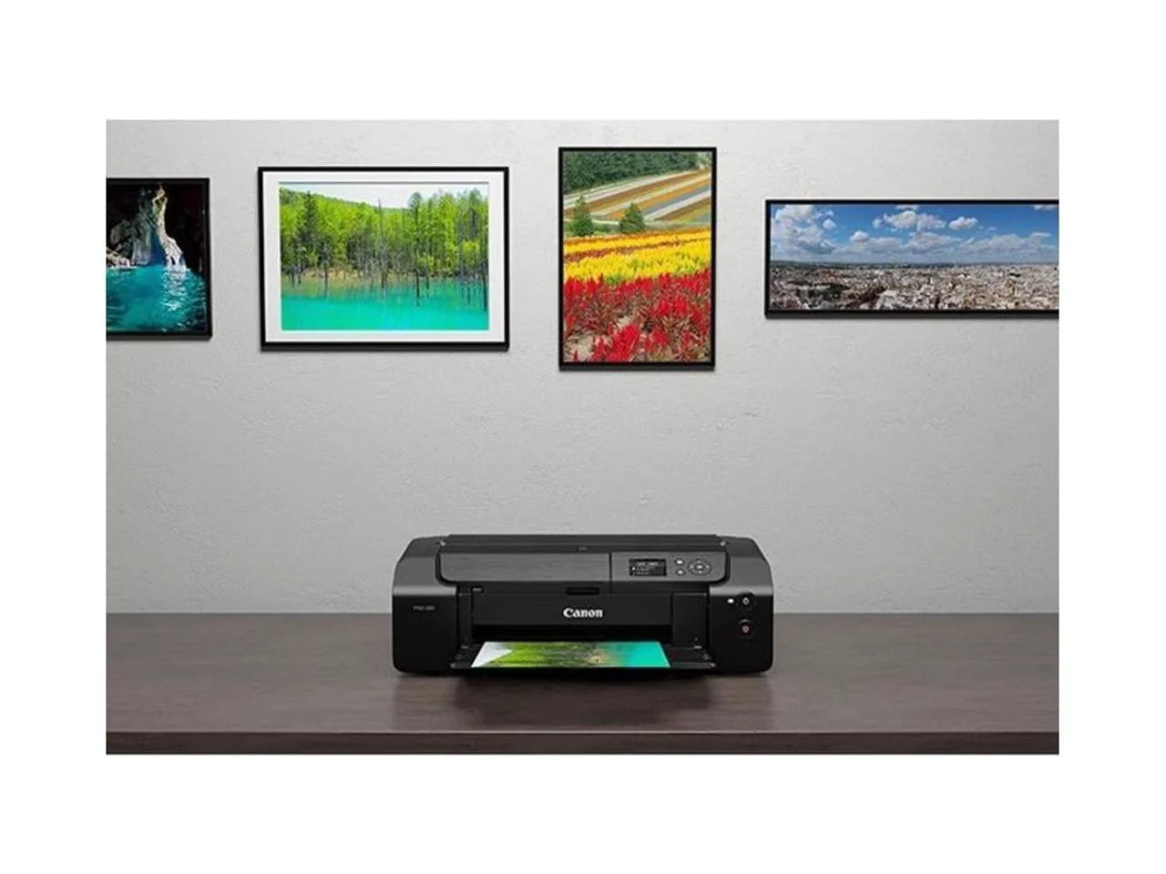 Wireless Professional Inkjet Photo Printer R405