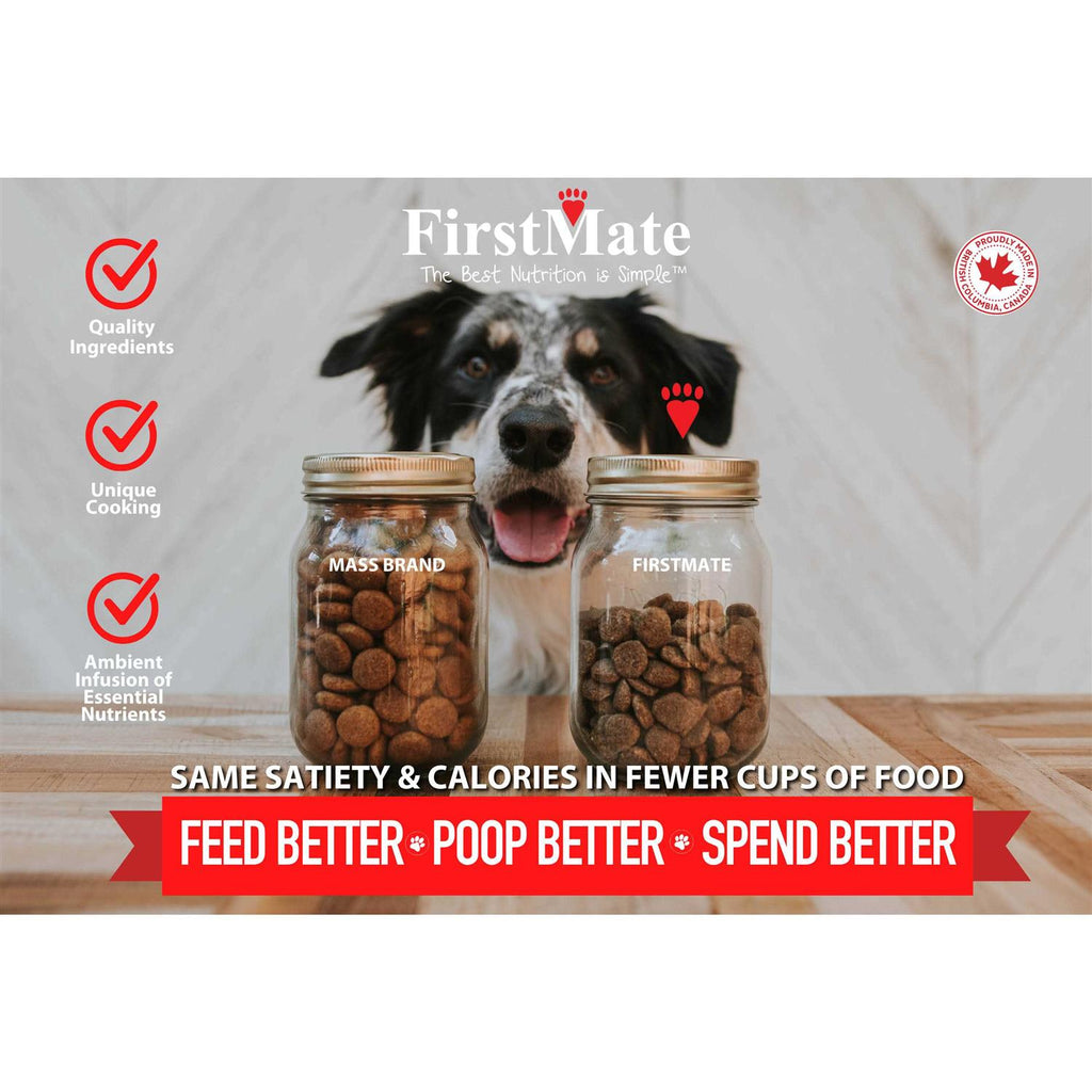 Grain Friendly Dry Dog Food I35041