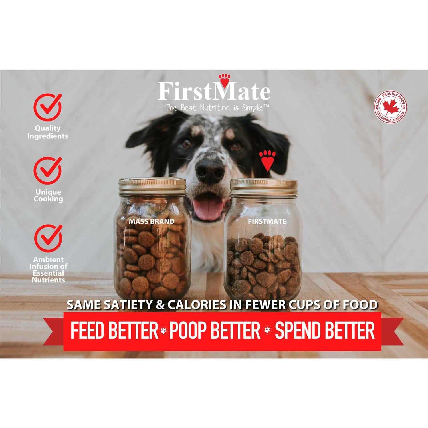 Grain Friendly Dry Dog Food I35041