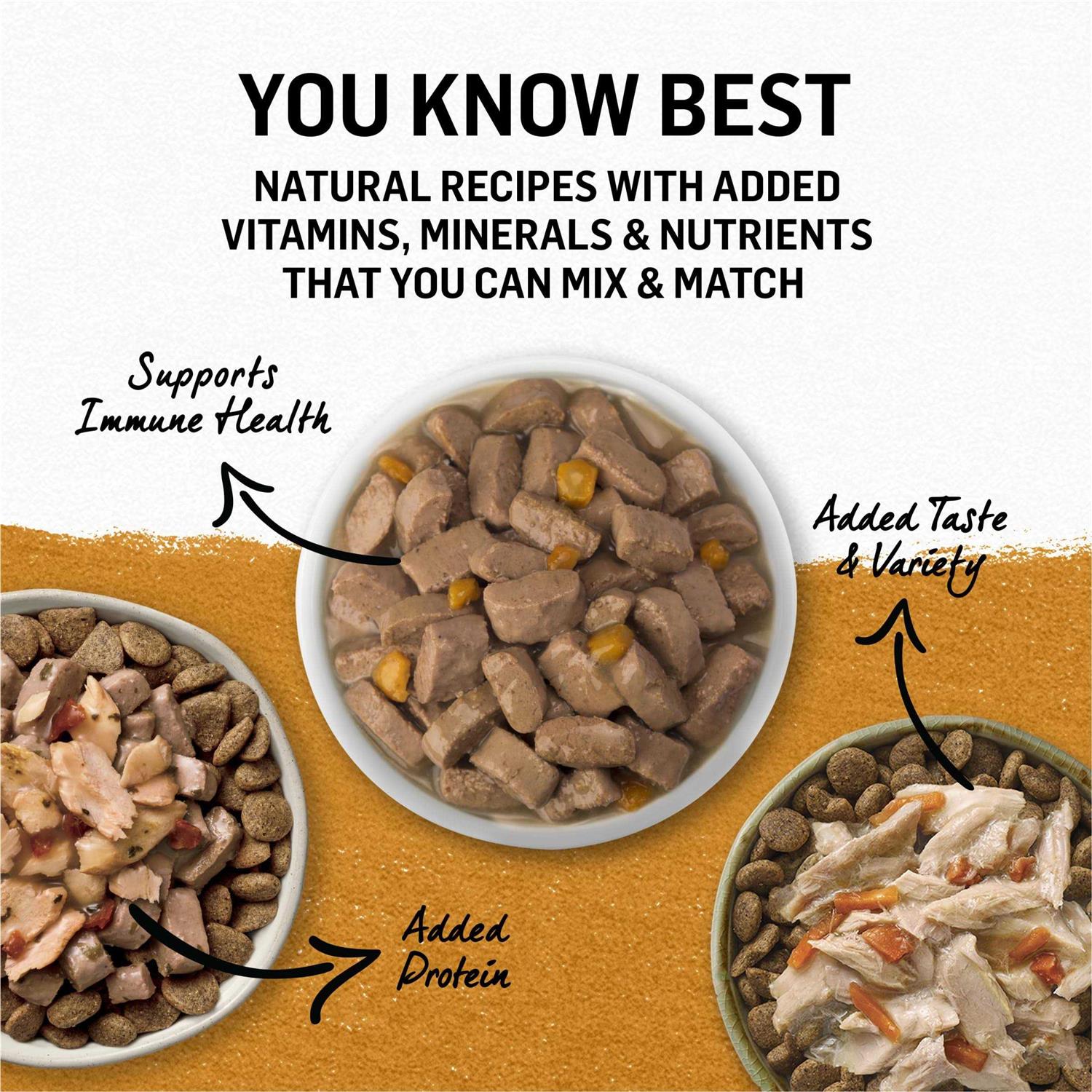 Chicken and Sweet Potato in Gravy Grain Free Wet Dog Food T804