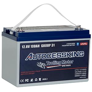 12V 100Ah BCI Group 24 LiFePO4 Battery with Low-Temp Protection X3265