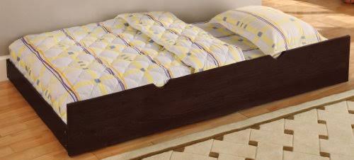 Twin Trundle with Casters in Espresso Z481230