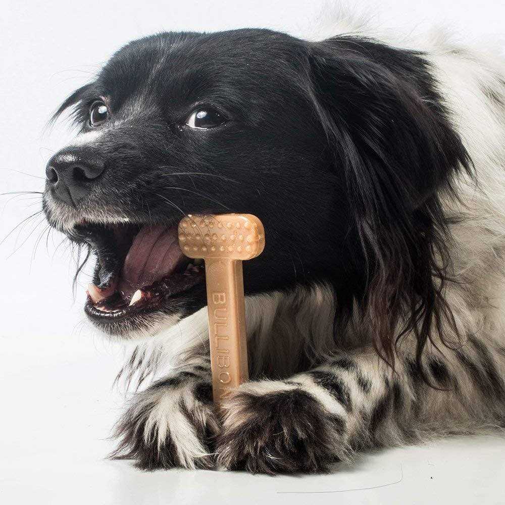 Nylon Dog Chew Toy Bone T21736