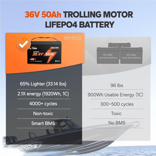 36V 50Ah LiFePO4 Battery with 43.8V 25A Charger Z66693