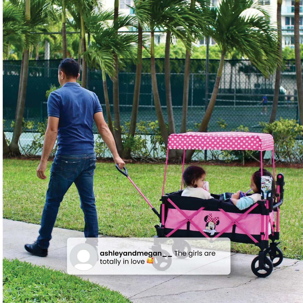 Stroller Wagon V795