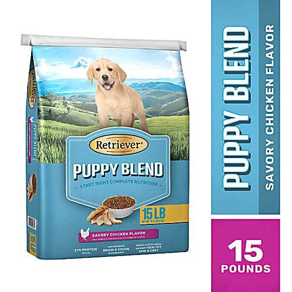 Savory Chicken Flavor Dry Dog Food X448450