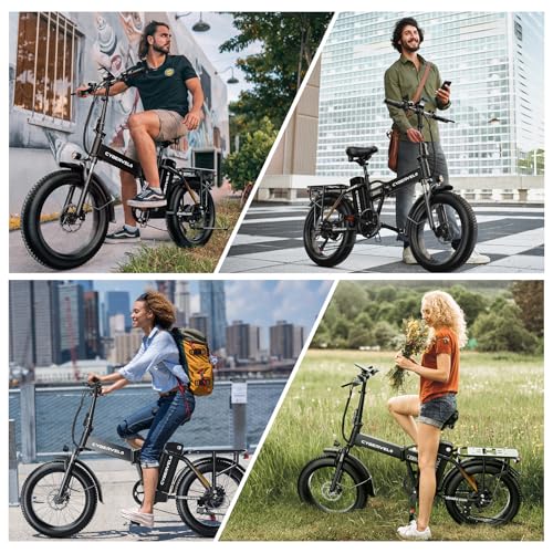 20" Fat Tire 1000W Folding Electric Bike with 48V 20.8AH Removable Battery S1133