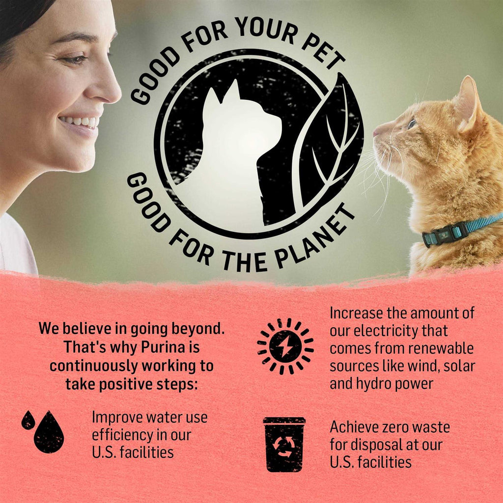 Cat Dry Food F6594
