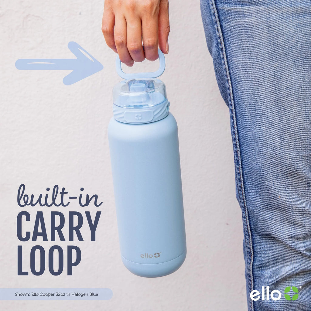 22oz Stainless Steel Water Bottle with Straw and Carry Handle Z716615