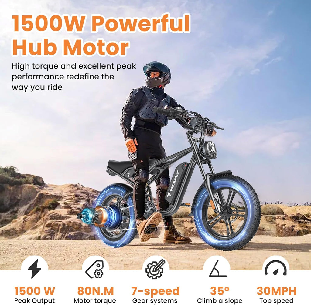 20" Fat Tire 48V 15.6AH Removable Battery Electric Bike T21318