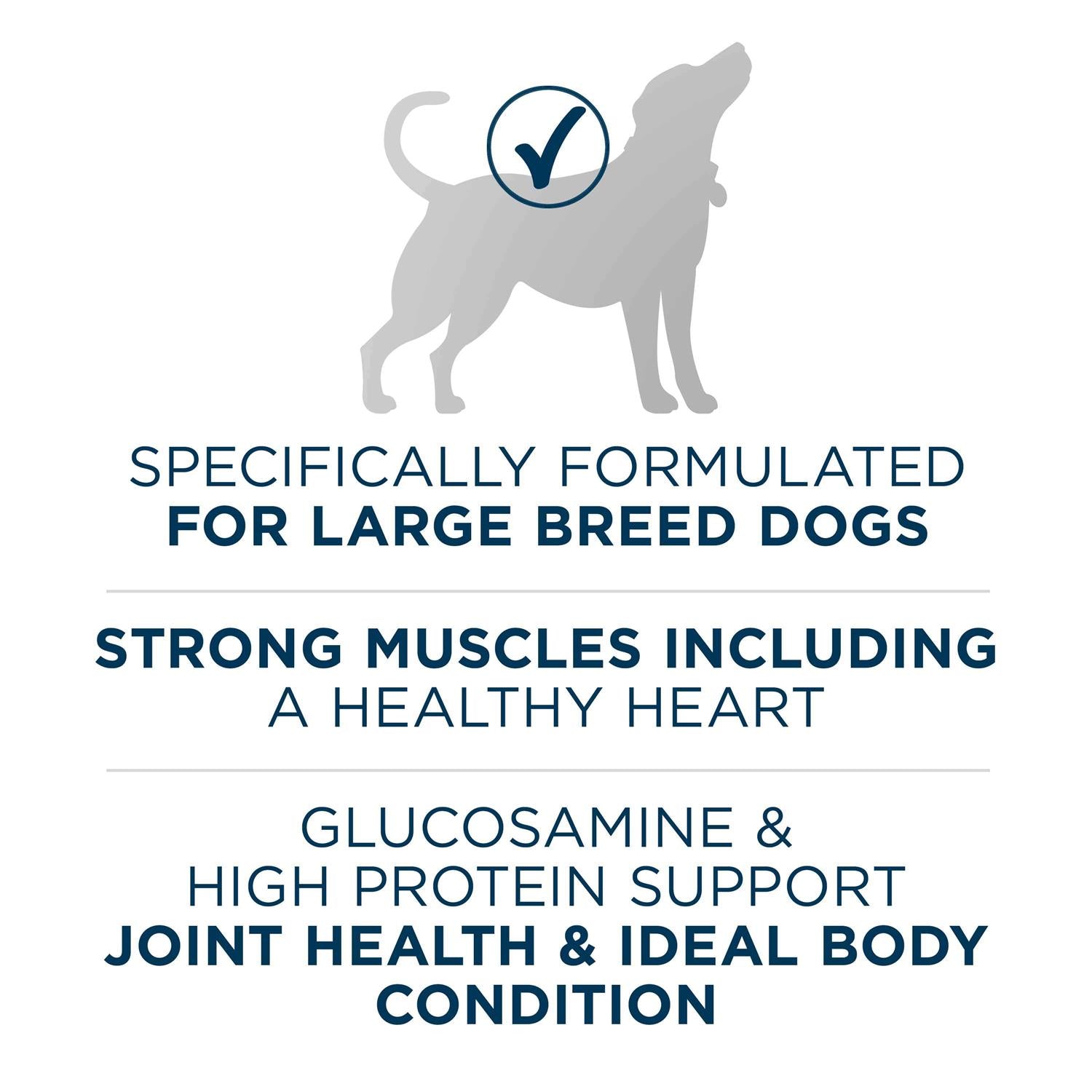 Large Breed Formula Adult Dry Dog Food P3038