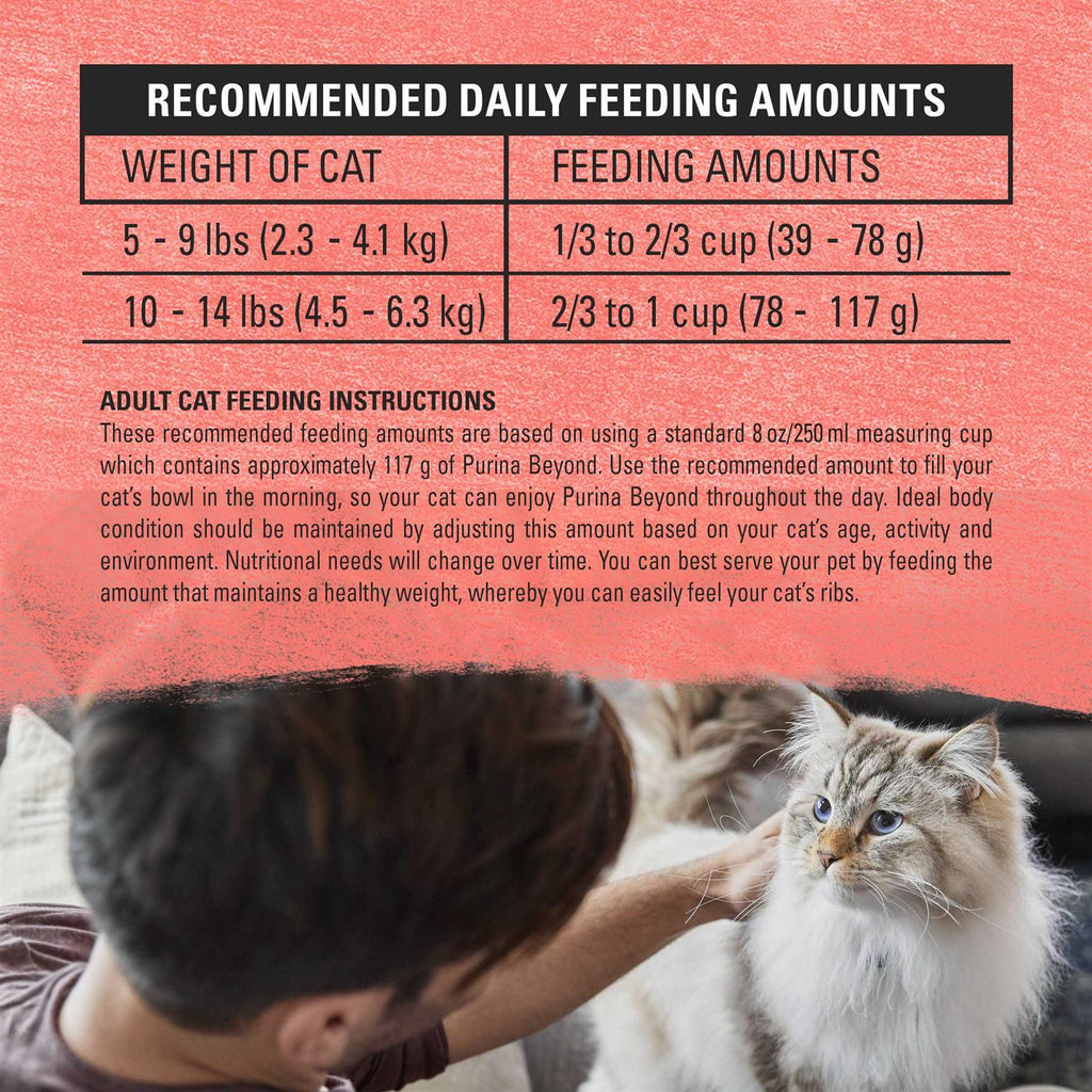 Cat Dry Food F6594
