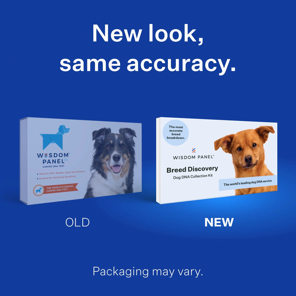 DNA Test Kit H153498