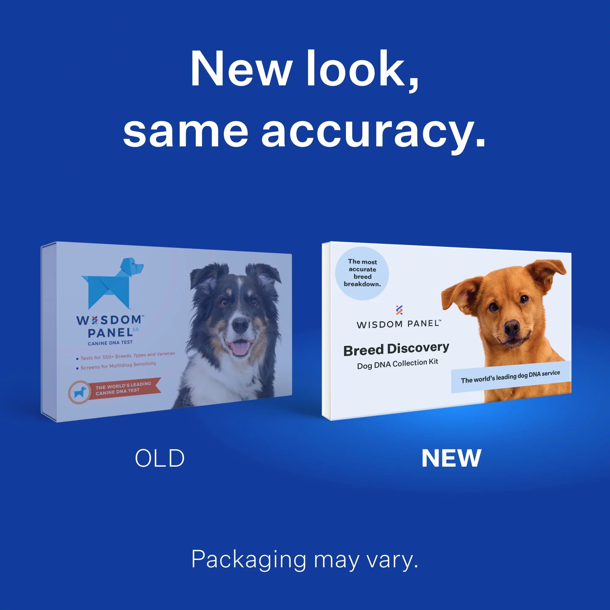 DNA Test Kit H153498