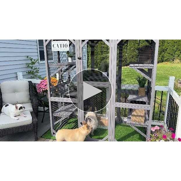Large Cat House Outdoor Cat Enclosure T89408