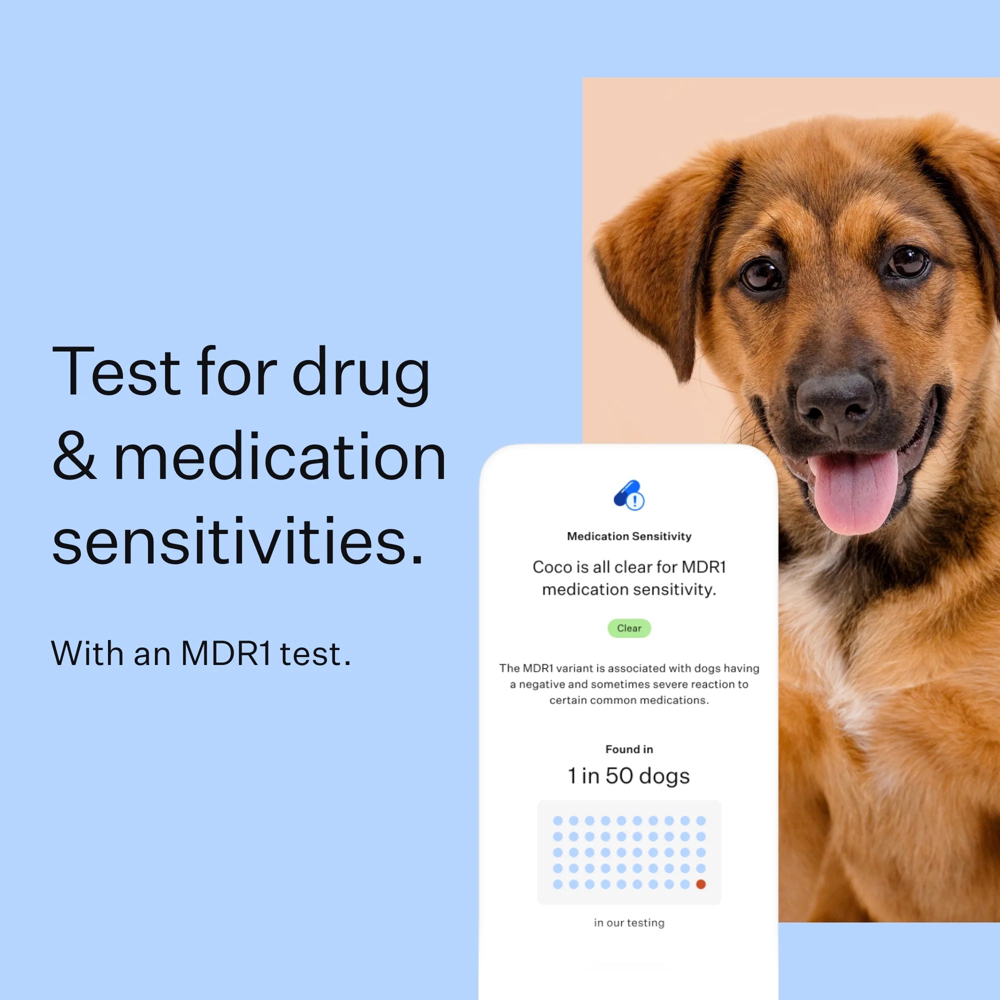 DNA Test Kit H153498