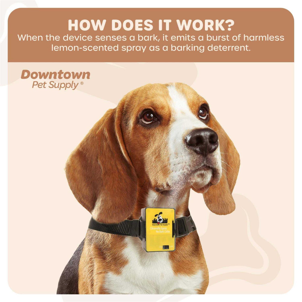Citronella Bark Collar C253119