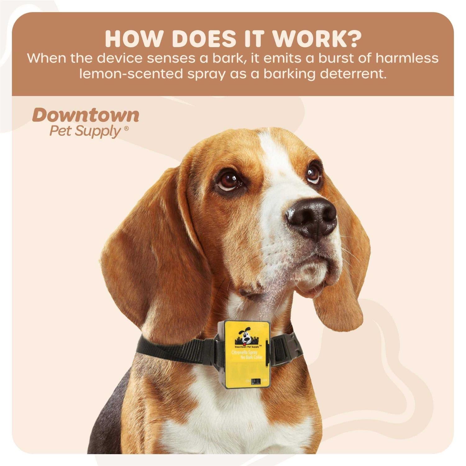 Citronella Bark Collar C253119