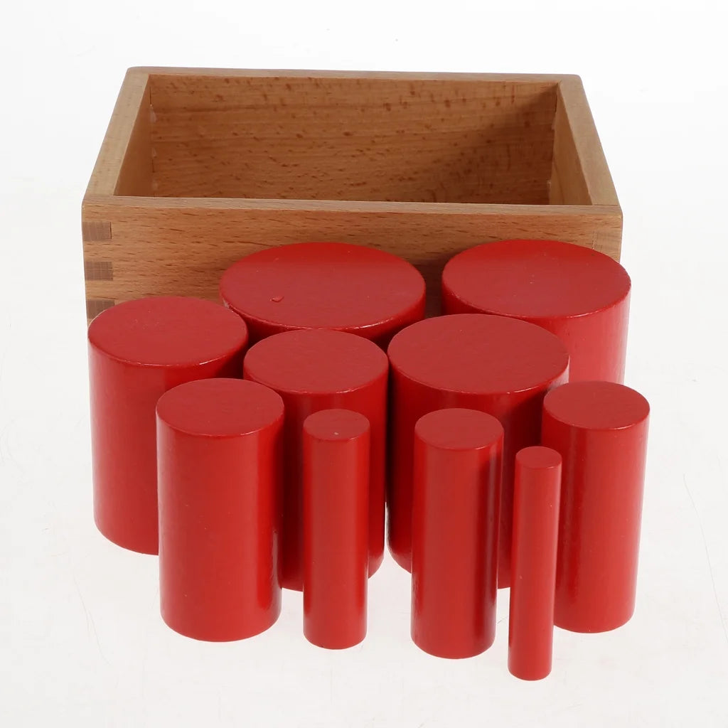 4 Sets Beechwood Montessori Knobless Cylinder Blocks Wooden Toy D600267