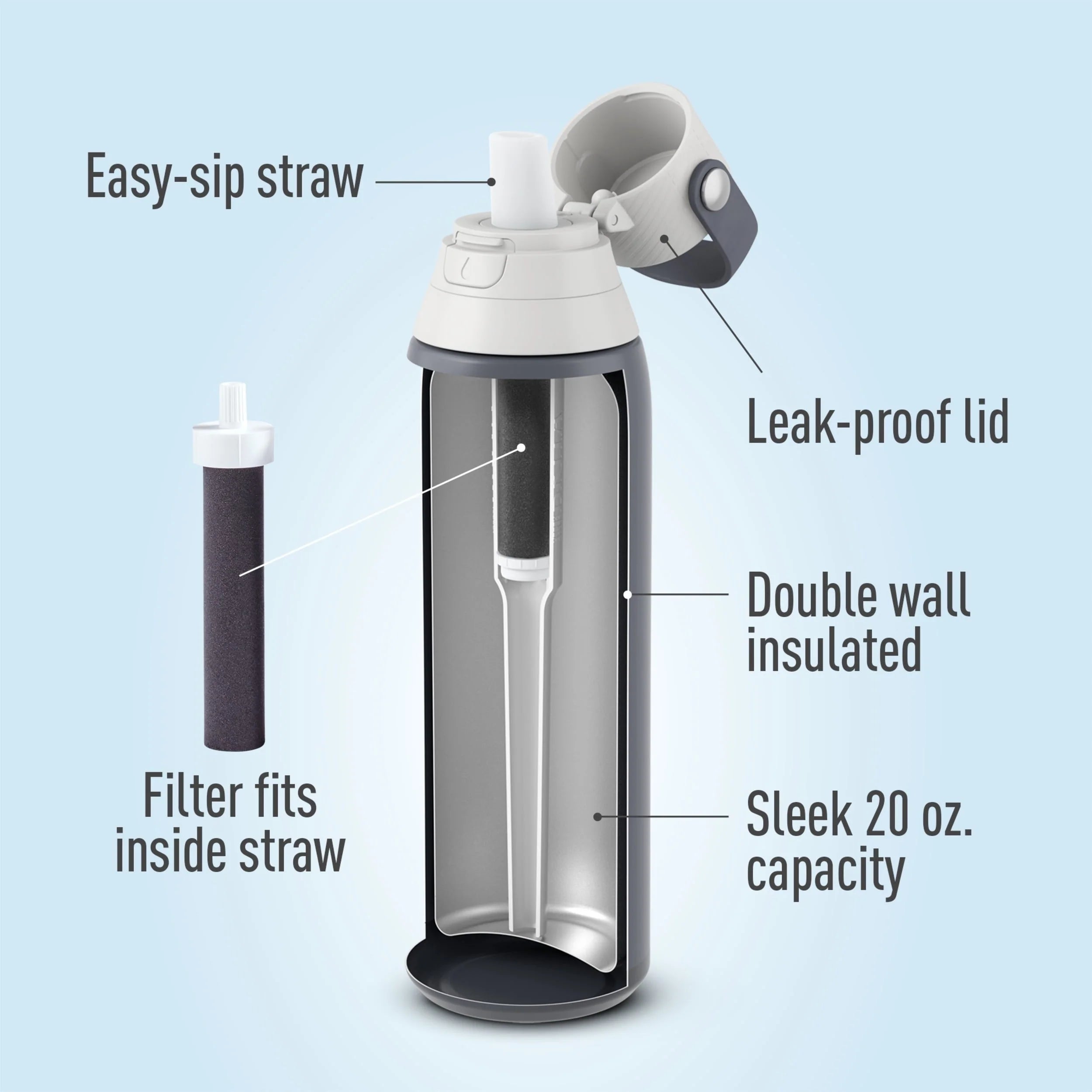 20 oz Stainless Steel Insulated Water Bottle with Straw M399751