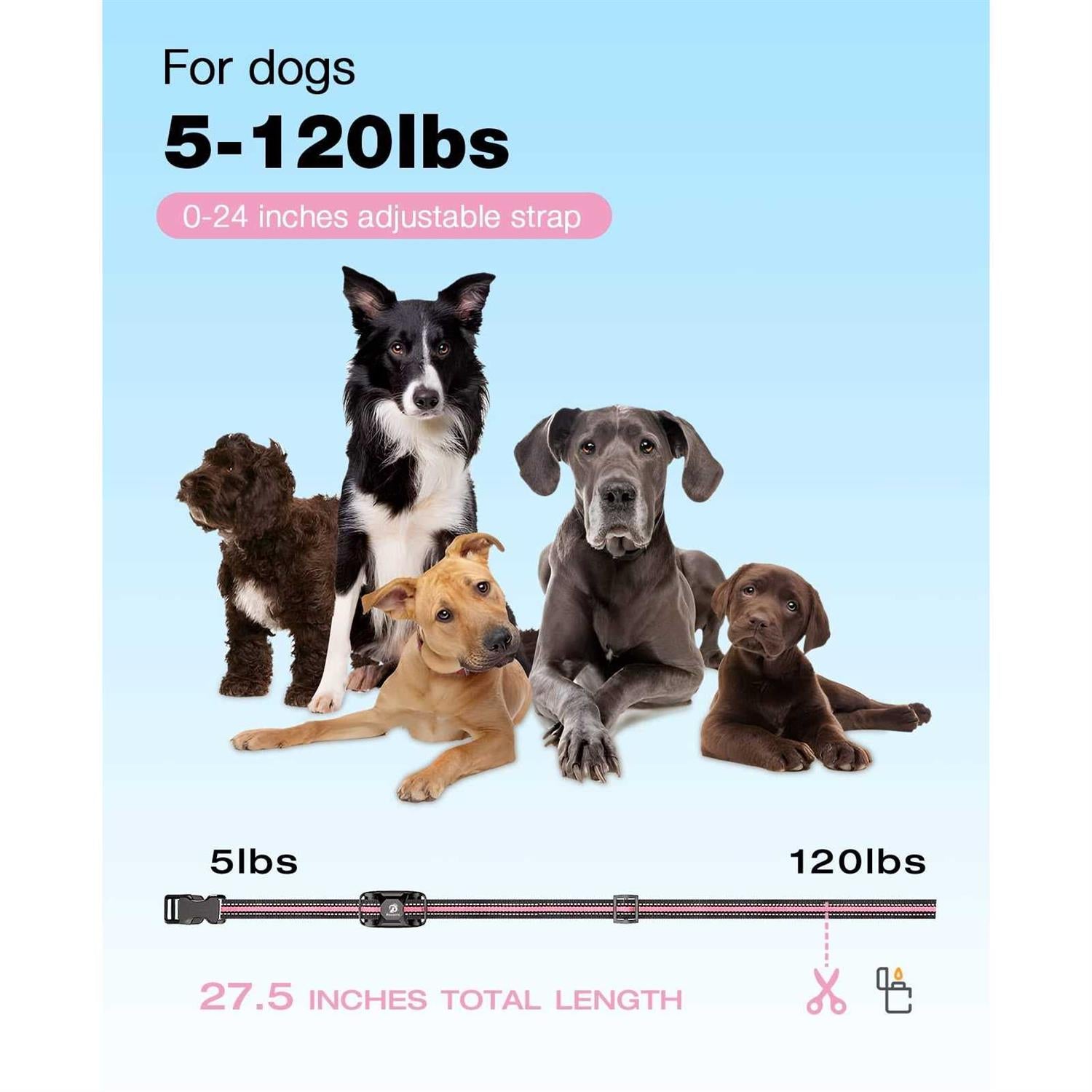 Dog Shock Collar with Remote W11119