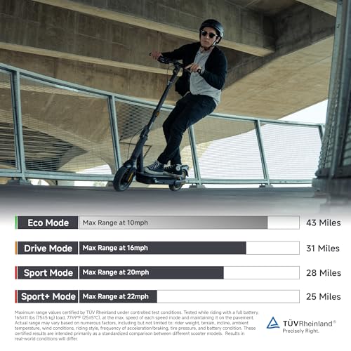 Electric Kick Scooter with Dual Suspension T734