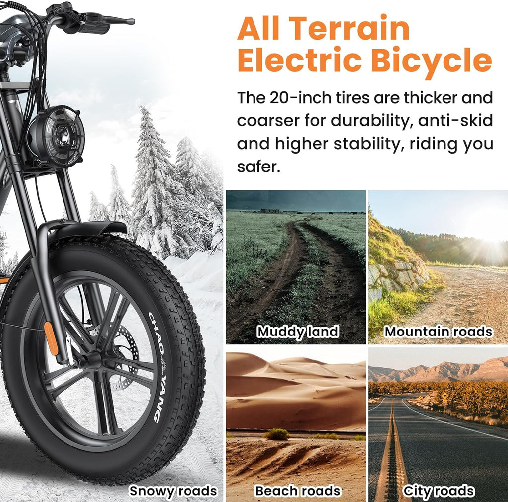 20" Fat Tire 48V 15.6AH Removable Battery Electric Bike T21318