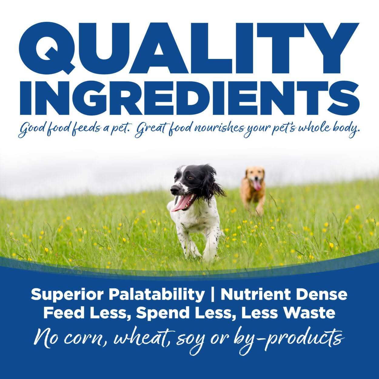 Whitefish Meal Rice Recipe Dry Dog Food S16099