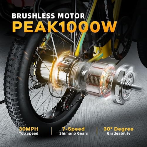 20" Fat Tire 1000W Folding Electric Bike with 48V 20.8AH Removable Battery S1133
