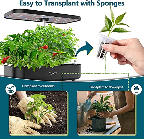 24pcs Seed Starter Pods with Nutrient Plant Foods L542771
