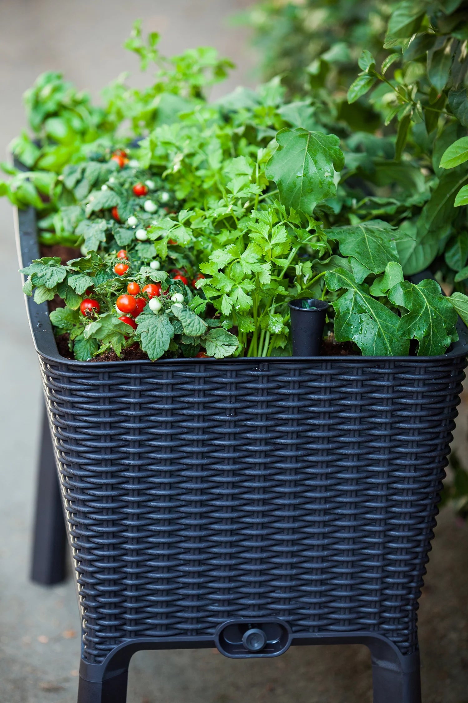 Elevated Garden Bed, Anthracite K3957