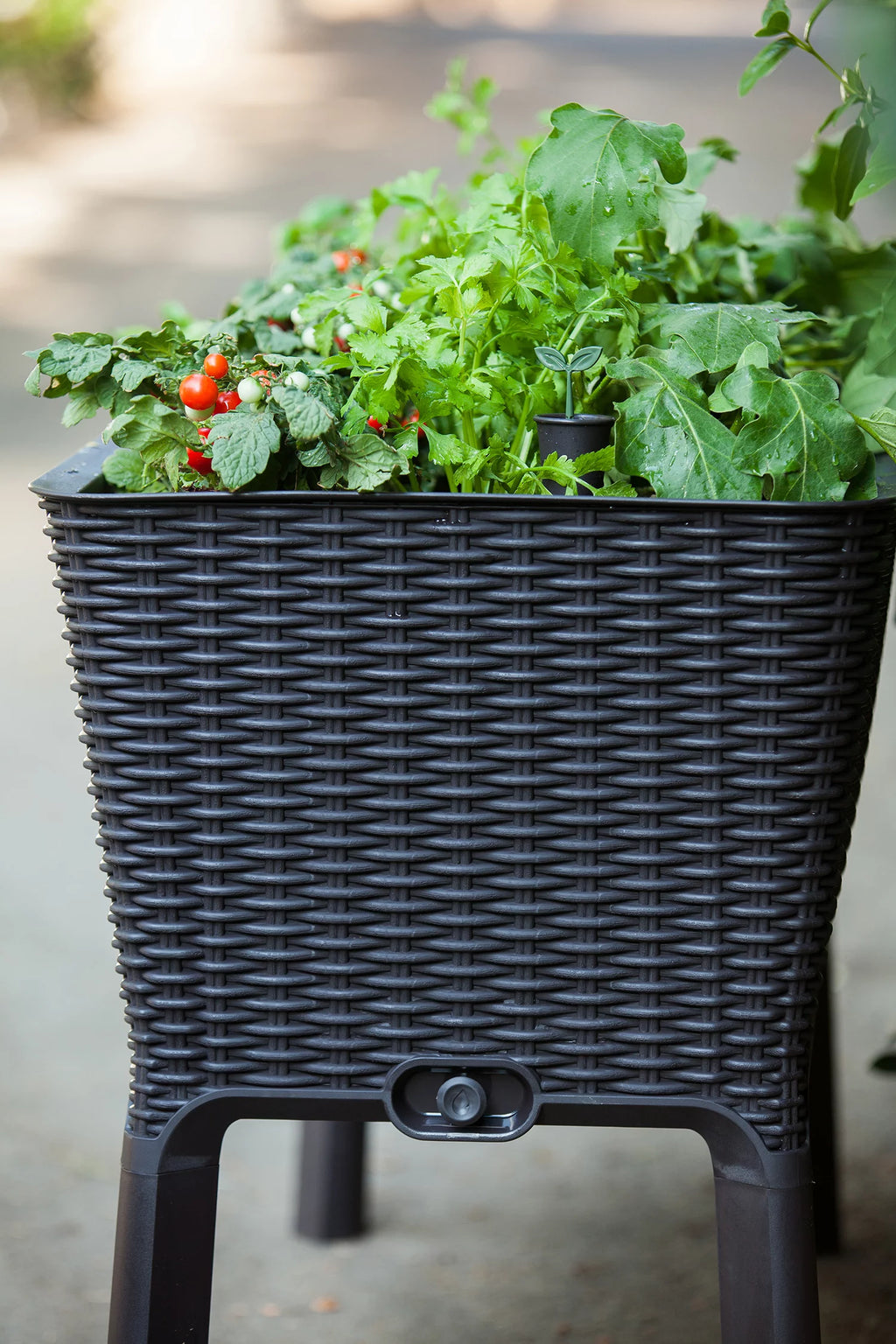 Elevated Garden Bed, Anthracite K3957