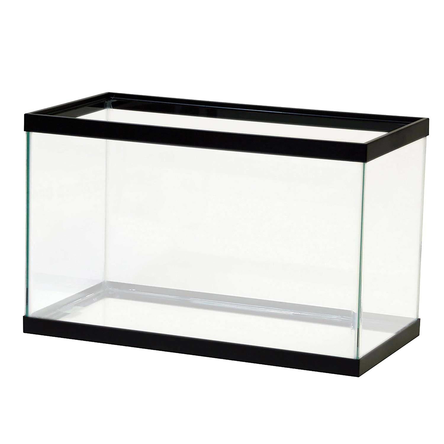 Standard Glass Rectangle Q96654