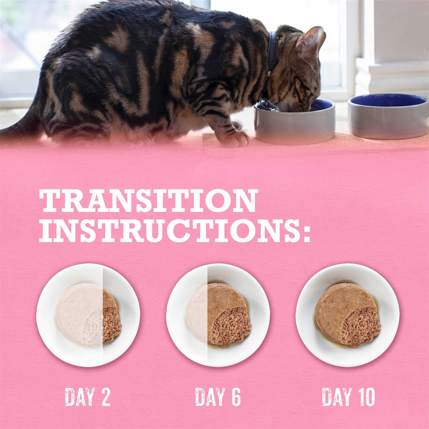 Grain Free Wet Cat Food Pate A13312