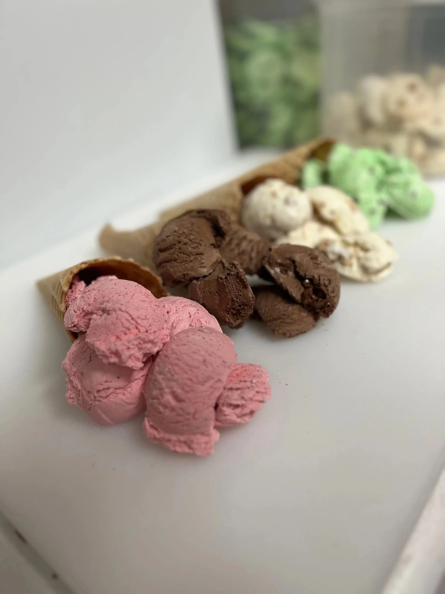 5 Pack Freeze Dried Ice Cream Q582598