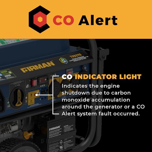 11400W Electric Start Portable Generator H935216