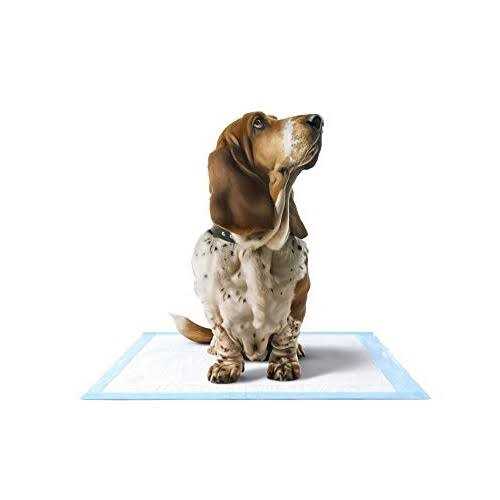 Disposable Chucks Pads 23 x 36 inches Ultra-Light Absorbency Pee Pads W145