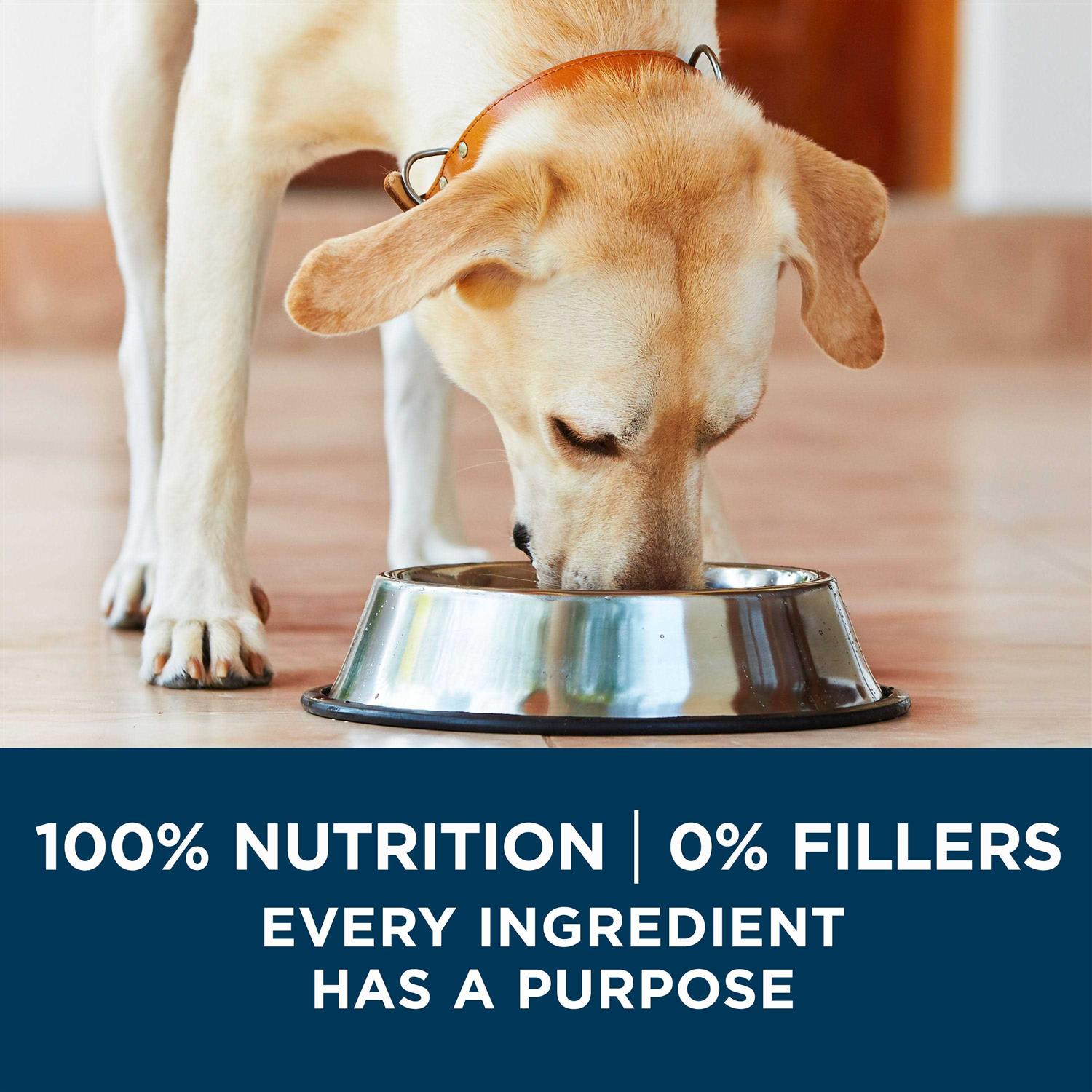 Large Breed Formula Adult Dry Dog Food P3038