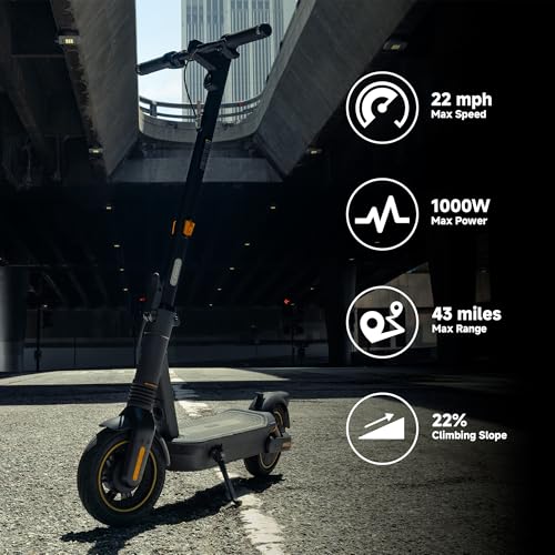 Electric Kick Scooter with Dual Suspension T734